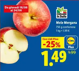 Lidl Mele Morgana offerta