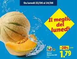 Lidl Melone Mantovano IGP offerta