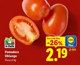 Lidl Pomodoro Oblungo offerta