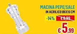Satur Macina pepe/sale in acrilico offerta