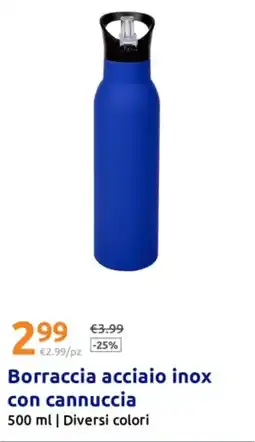 Action Borraccia acciaio inox con cannuccia offerta