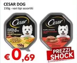Milano Home Cesar dog offerta