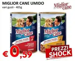 Milano Home Miglior cane umido offerta