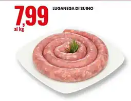 Eurospin Luganega di suino offerta