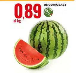 Eurospin Anguria Baby offerta