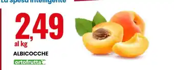 Eurospin Albicocche offerta