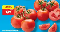 ALDI Pomodoro Grappolo offerta