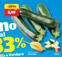 ALDI Zucchine offerta