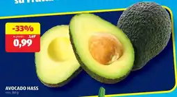 ALDI Avocado Hass offerta