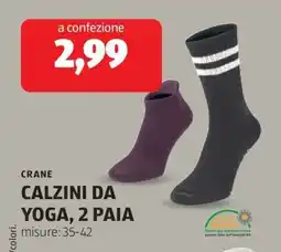 ALDI Calzini da yoga, 2 paia offerta