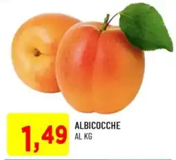 DPiù Albicocche offerta