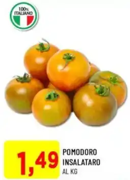 DPiù Pomodoro insalataro offerta