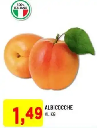 DPiù Albicocche offerta