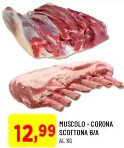 DPiù Muscolo - corona scottona b/a offerta