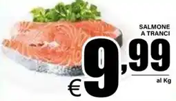 DEM Salmone a tranci offerta