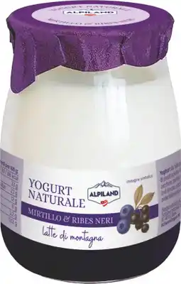 MD Discount YOGURT NATURALE GUSTO MIRTILLO E RIBES NERI offerta