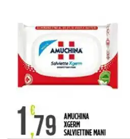 Netto Supermercati Amuchina xgerm salviettine mani offerta