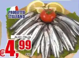 Pewex Alici italia offerta