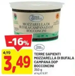 DPiù Terre sapienti mozzarella di bufala campana dop bocconcini offerta
