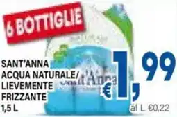 DEM Sant'anna acqua naturale/ lievemente frizzante offerta