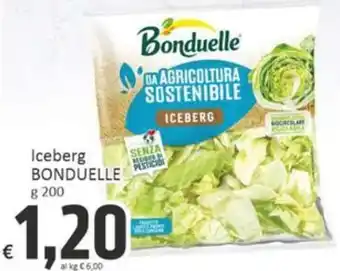 Paghi Poco Iceberg BONDUELLE offerta
