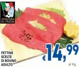 DEM Fettine scelte di bovino adulto offerta
