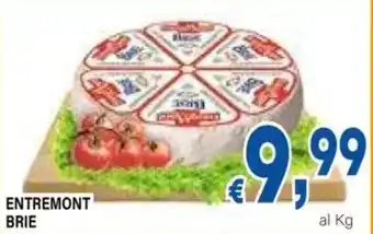 DEM Entremont brie offerta