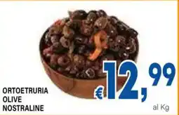 DEM Ortoetruria olive nostraline offerta