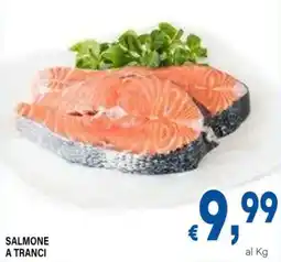 DEM Salmone a tranci offerta