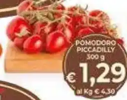 DEM Pomodoro piccadilly offerta