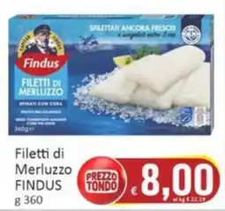 Paghi Poco Filetti di Merluzzo FINDUS offerta