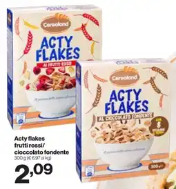 In'S Mercato Cerealand Acty flakes frutti rossi/ cioccolato fondente offerta