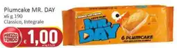 Paghi Poco Plumcake MR. DAY offerta