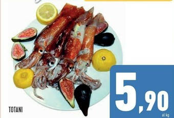 Conad Superstore Totani offerta