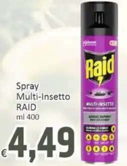 Paghi Poco Spray Multi-Insetto RAID offerta