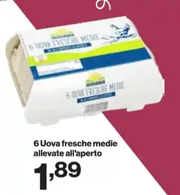 In'S Mercato 6 Uova fresche medie allevate all'aperto offerta