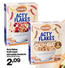 In'S Mercato Cerealand Acty flakes frutti rossi/ cioccolato fondente offerta