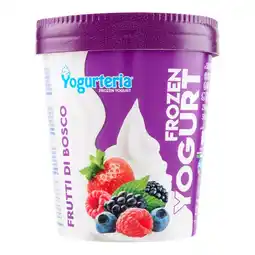 Spazio Conad FROZEN YOGURT YOGURTERIA offerta