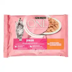 Spazio Conad ALIMENTO PER GATTI ONE PURINA offerta