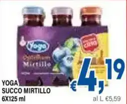 DEM Yoga succo mirtillo offerta