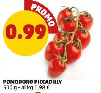 PENNY Pomodoro piccadilly offerta