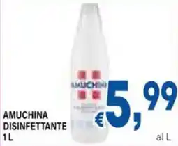 DEM Amuchina disinfettante offerta