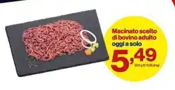 In'S Mercato Macinato scelto di bovino adulto offerta