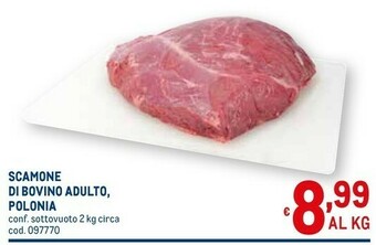 Metro Carne offerta