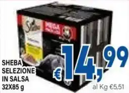 DEM Sheba selezione in salsa offerta