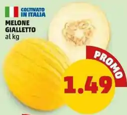 PENNY Melone gialletto offerta