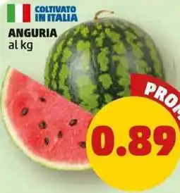 PENNY Anguria al kg offerta