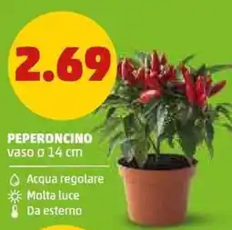 PENNY Peperoncino offerta