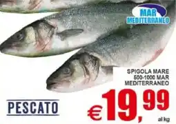 Pewex Spigola mare 500-1000 mar mediterraneo offerta