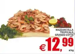 Pewex Mazzancolla tropicale grande cotta offerta
